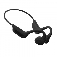 TWS Bluetooth speaker earbuds